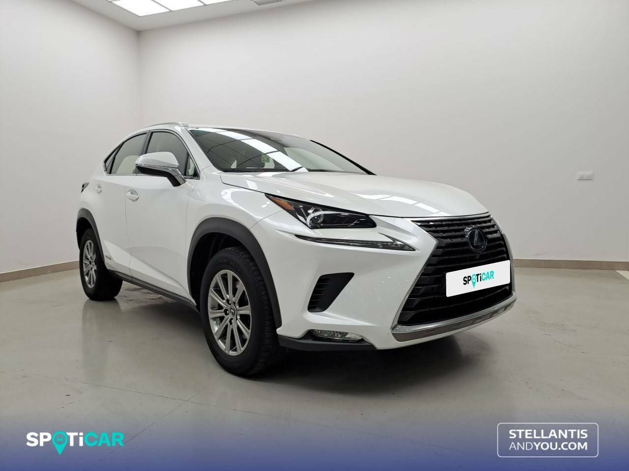 lexus nx 2019 / foto grande (3)