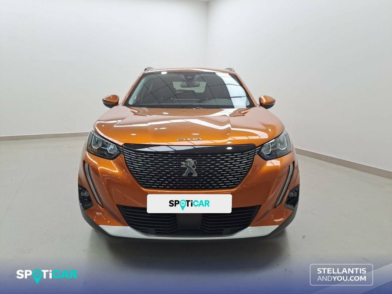 peugeot 2008 2021 / foto grande (2)