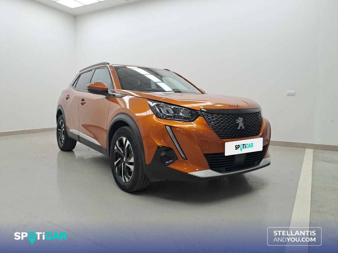 peugeot 2008 2021 / foto grande (3)