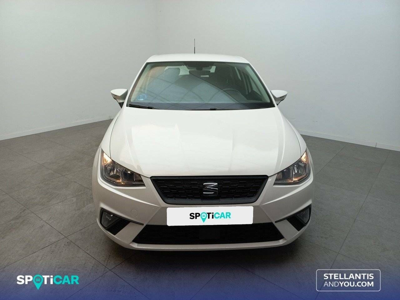 seat ibiza 2021 / foto grande (2)