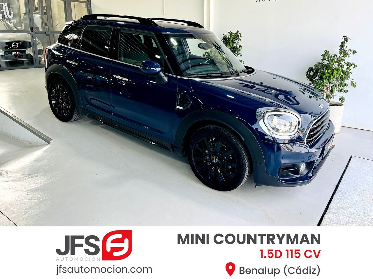 mini countryman 2019 /