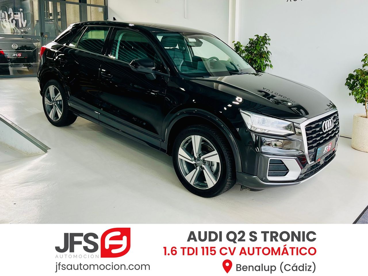 audi q2 2019 /