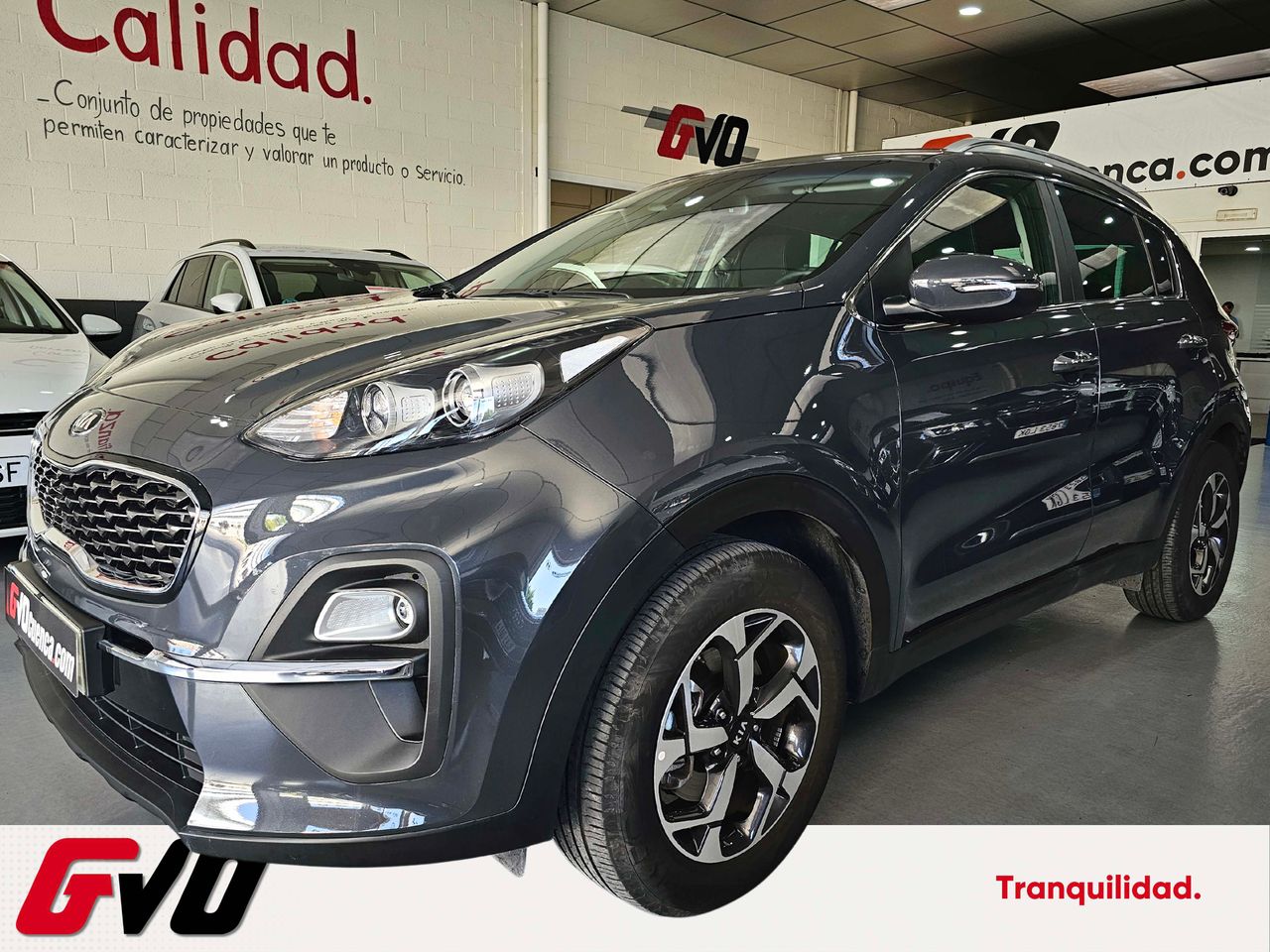 Aves exoticas  de segunda mano - kia sportage 2021 /