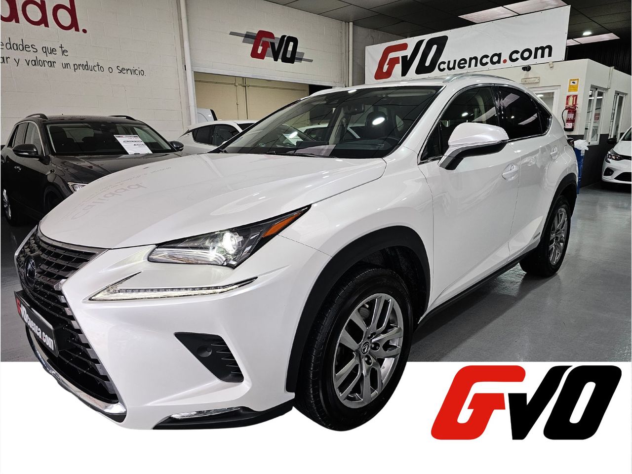 Foto lexus nx 2021 /