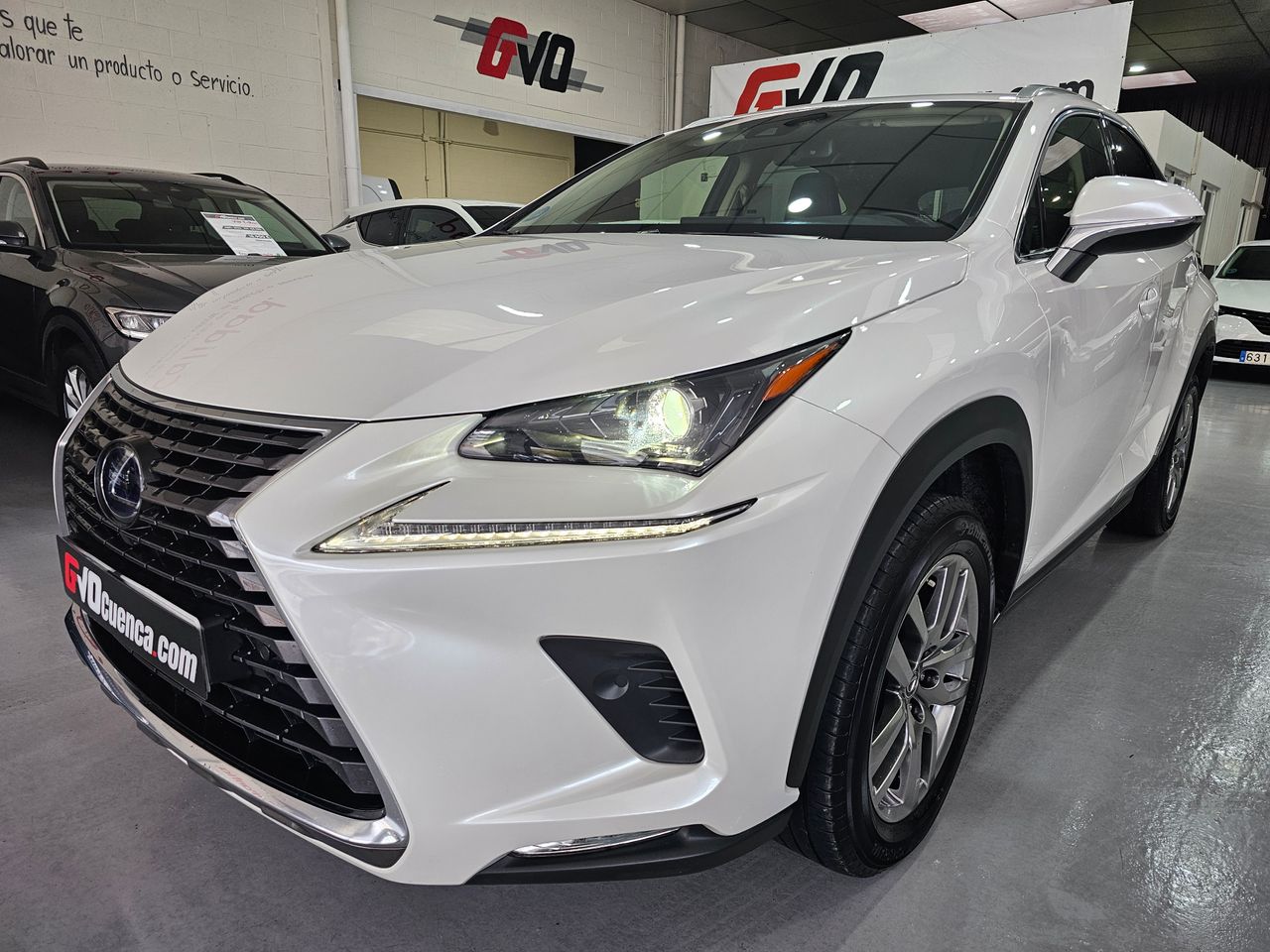lexus nx 2021 / foto grande (3)