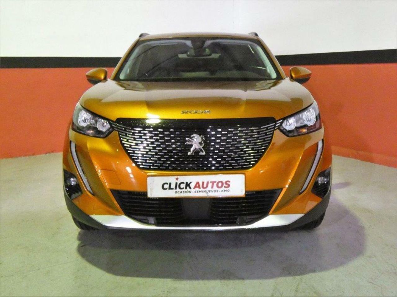 peugeot 2008 2021 / foto grande (2)