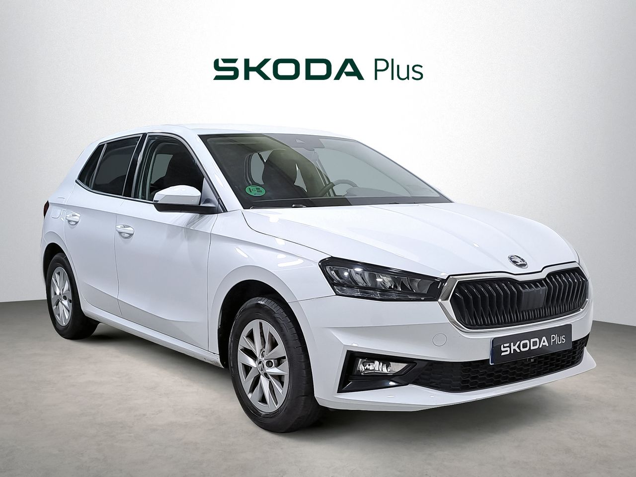 skoda fabia 2024 /