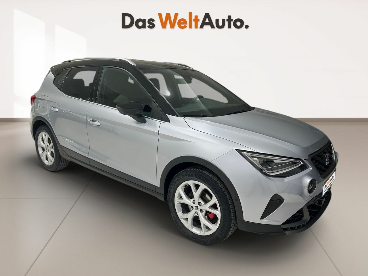 Neumaticos de 22 pulgadas  de segunda mano - seat arona 2024 /