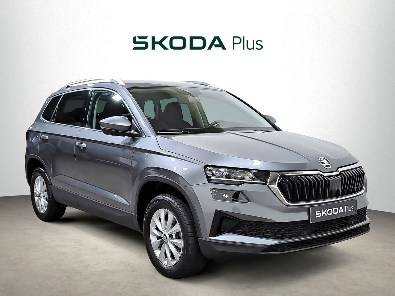skoda karoq 2024 /