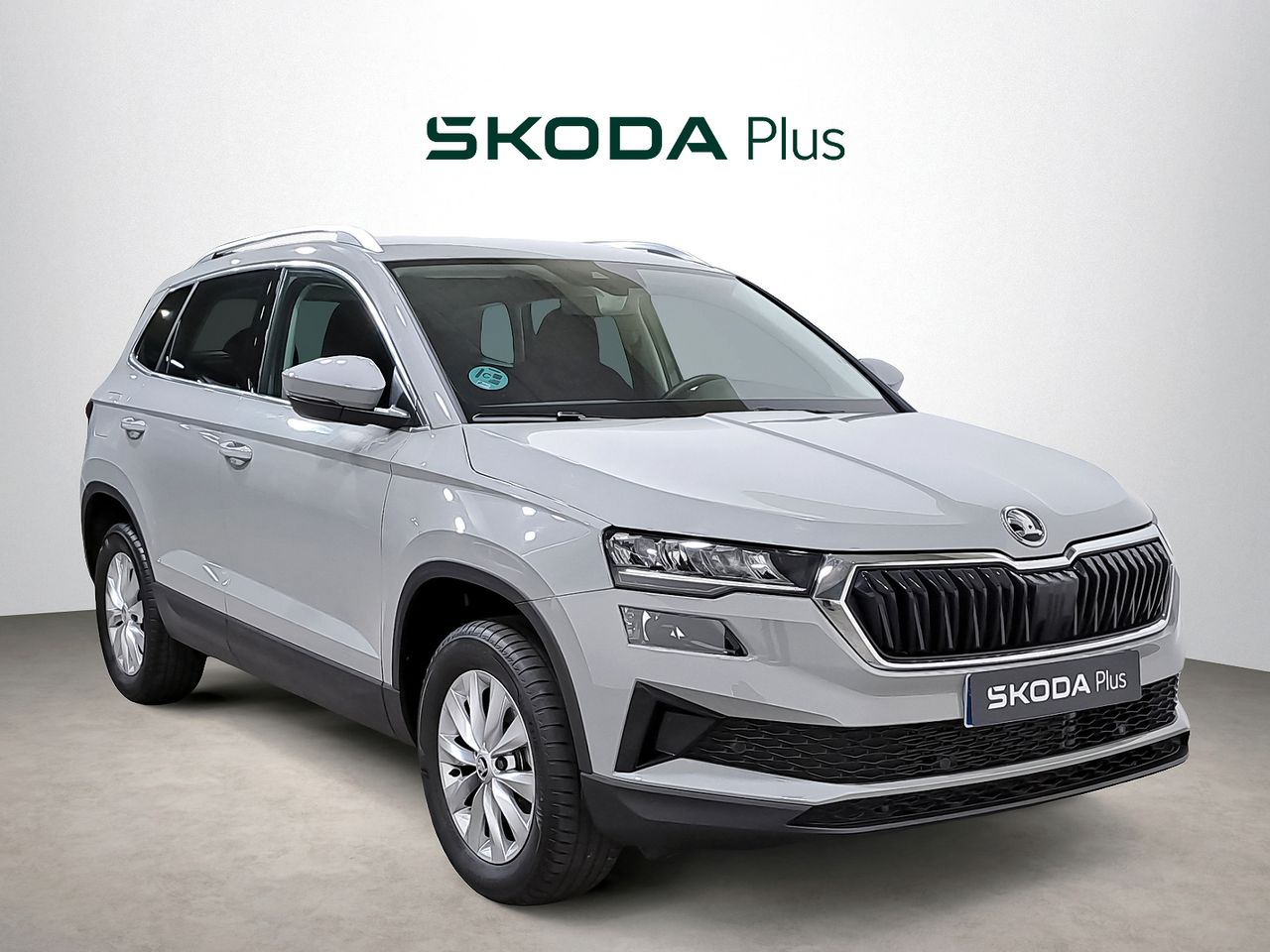 skoda karoq 2024 /
