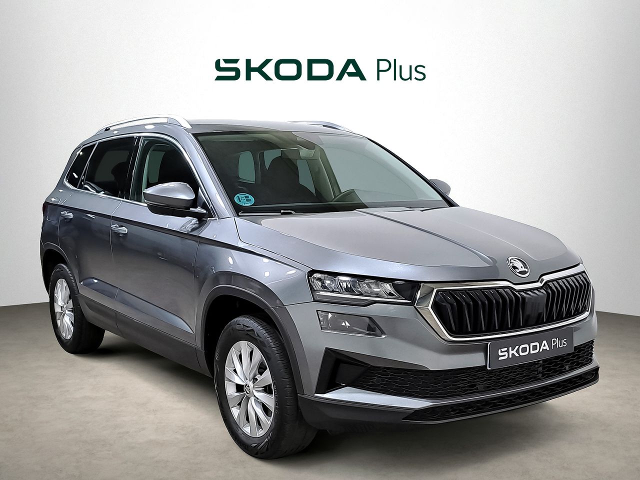 skoda karoq 2024 /