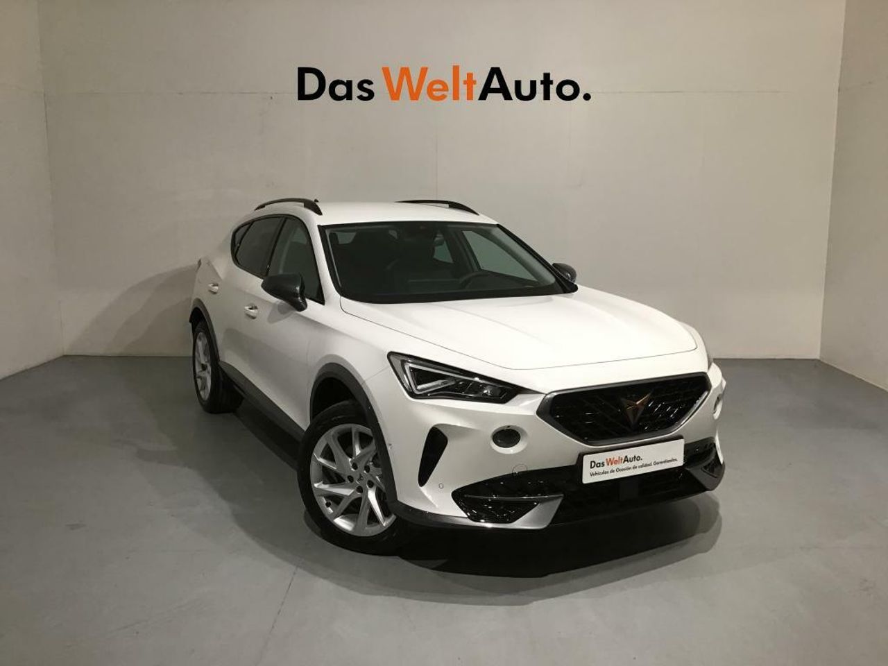 cupra formentor 2023 /