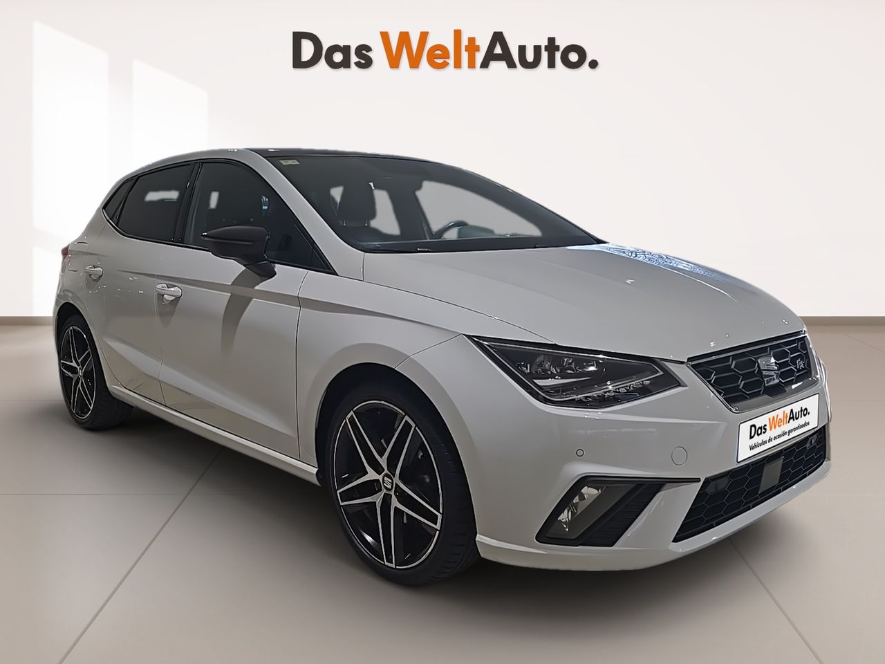 seat ibiza 2020 /