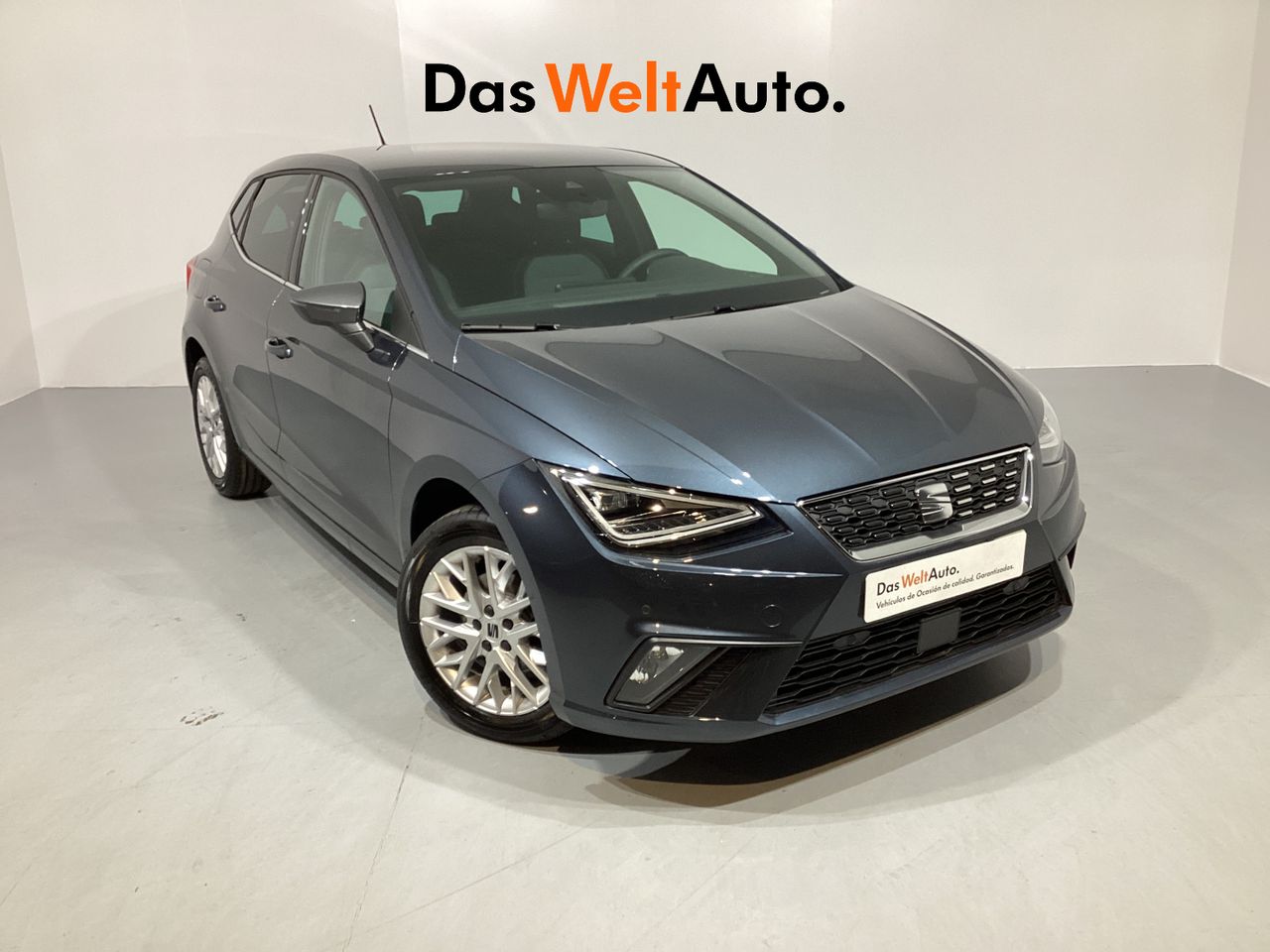 seat ibiza 2024 /