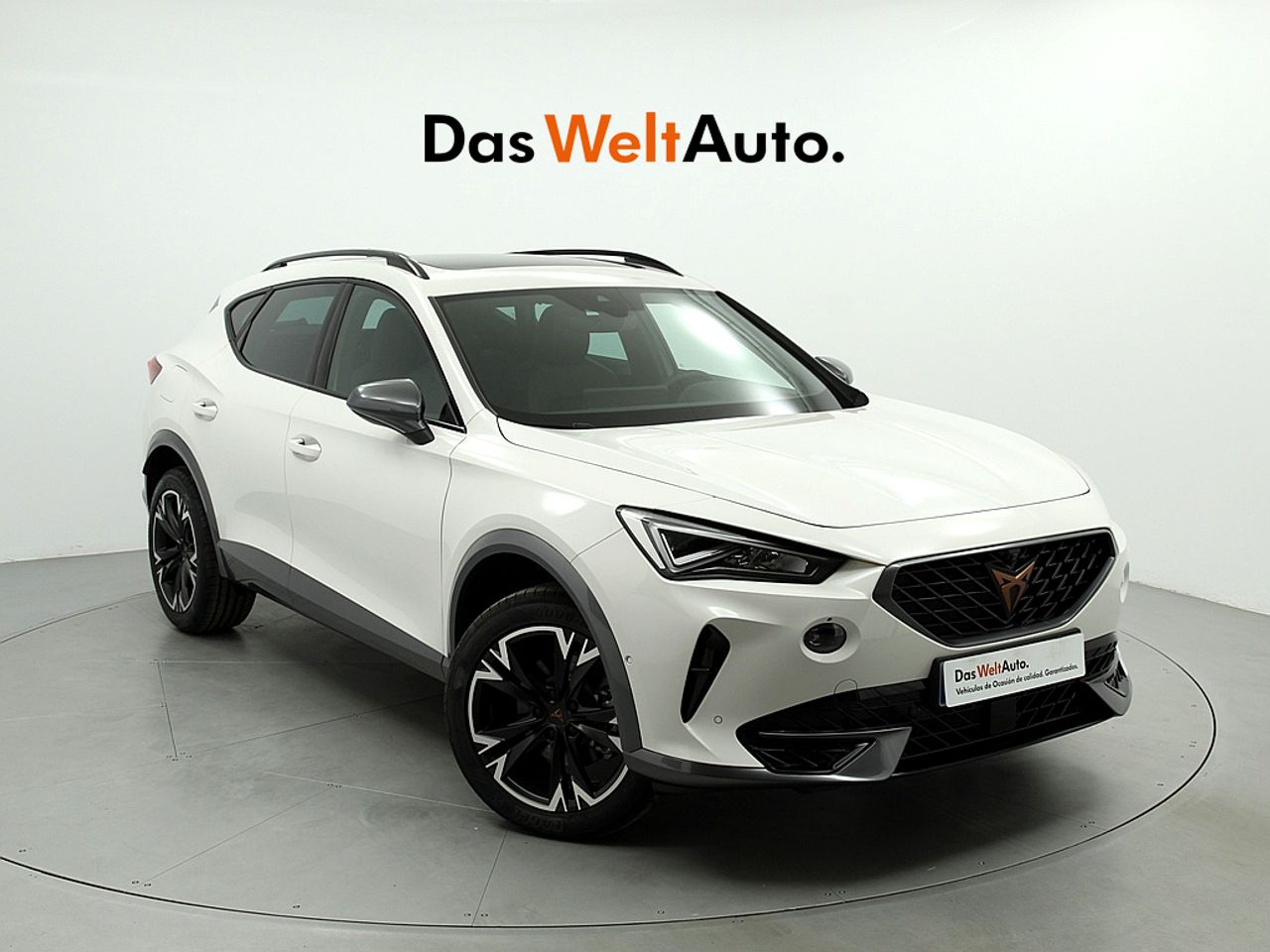 Neumaticos 215 45 17  de segunda mano - cupra formentor 2022 /