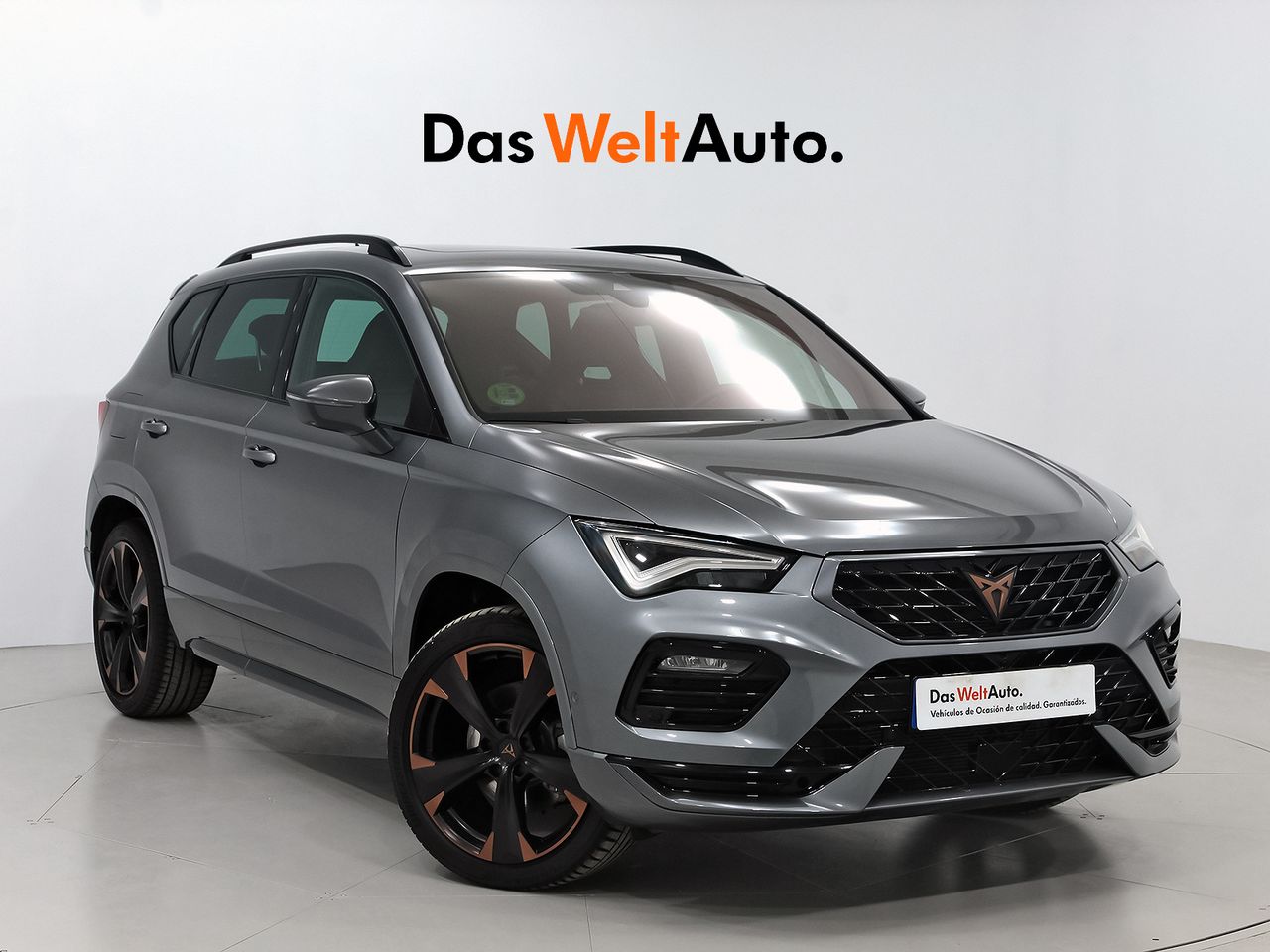 Conexion aux y usb  de segunda mano - cupra ateca 2023 /