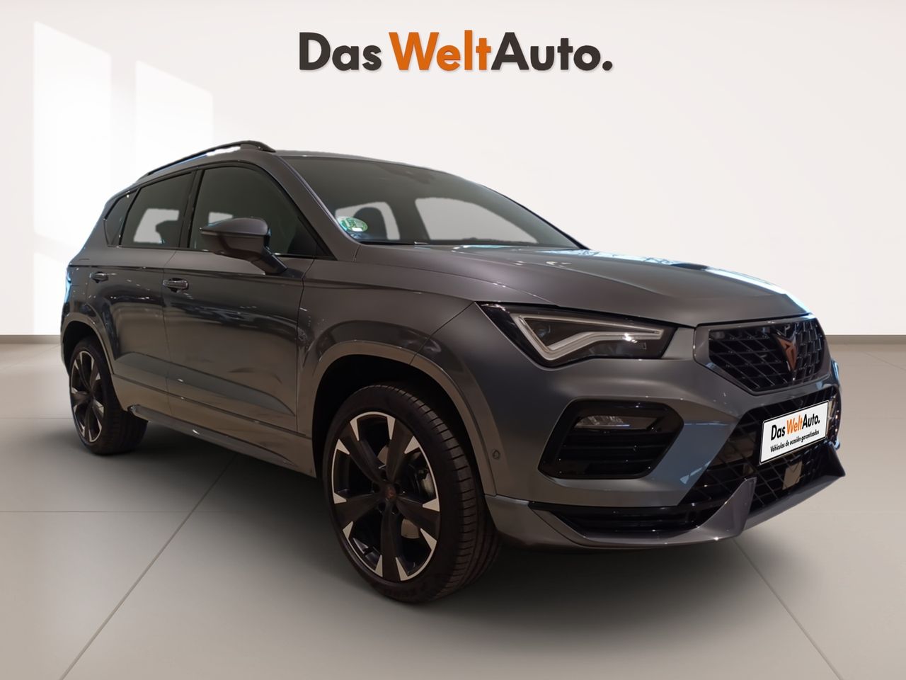 cupra ateca 2024 /