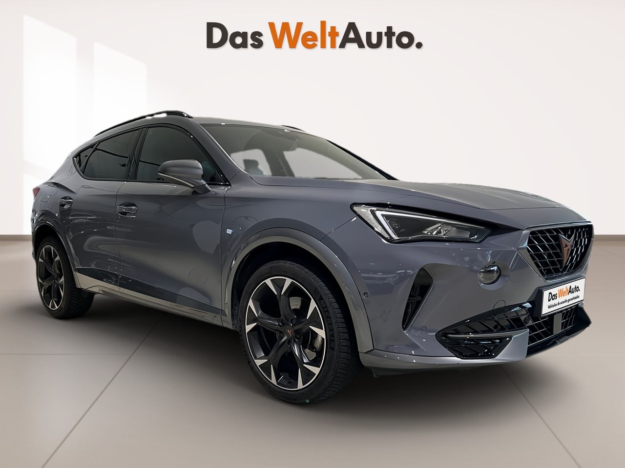 cupra formentor 2022 /