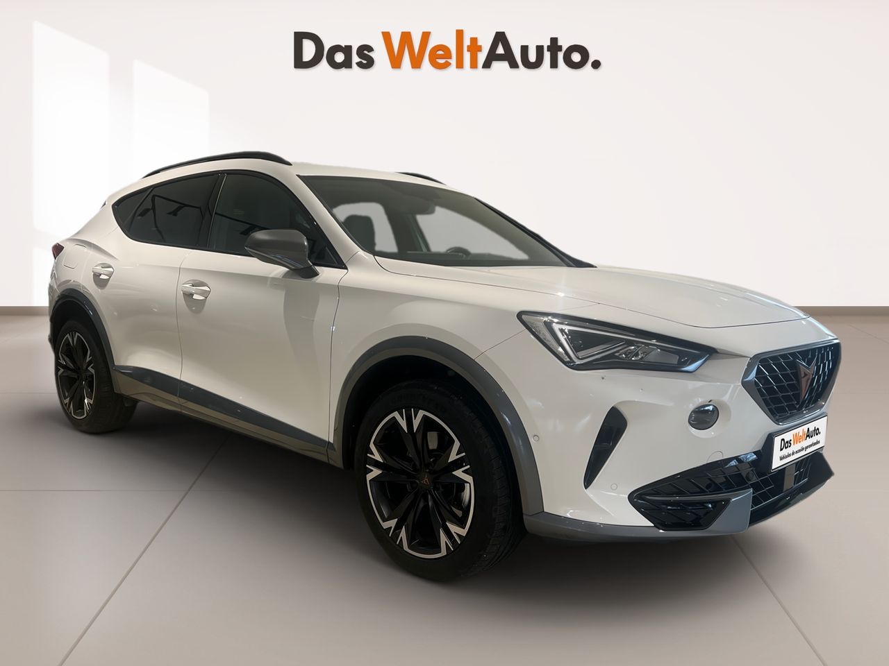 cupra formentor 2021 /