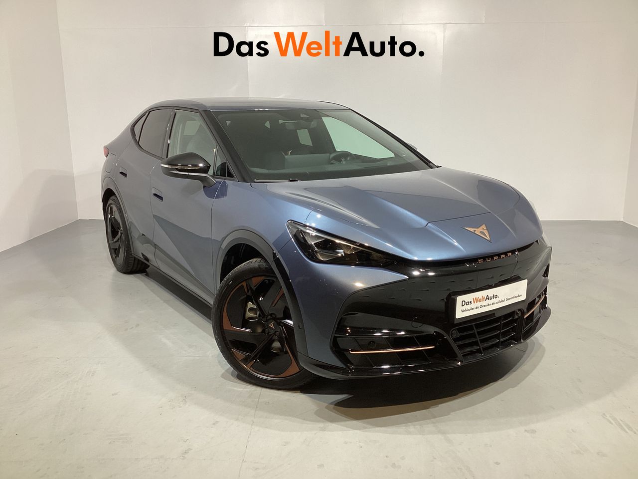 cupra tavascan 2025 /