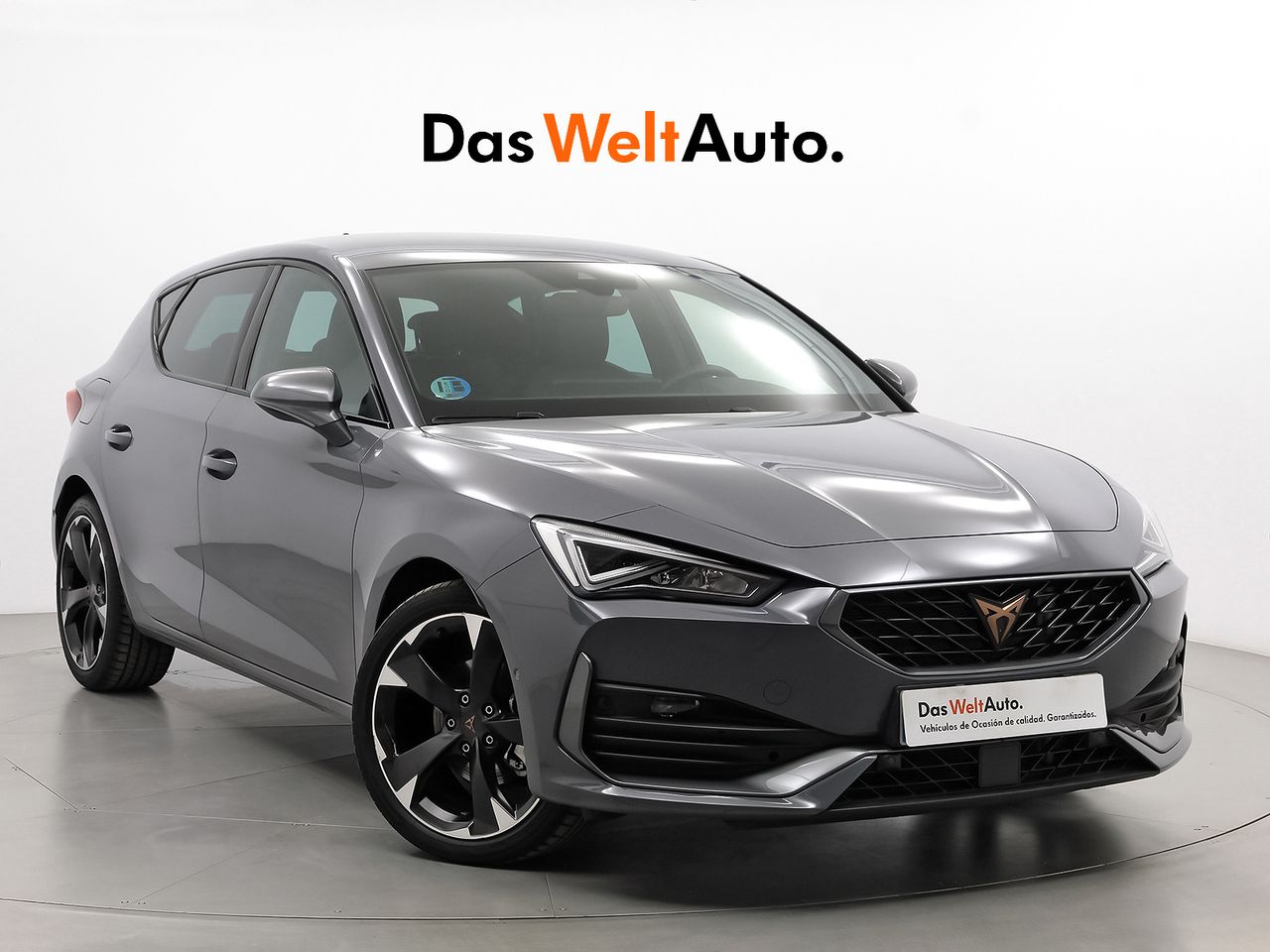 Maquina de chorrear 100 kg  de segunda mano - cupra león 2024 /