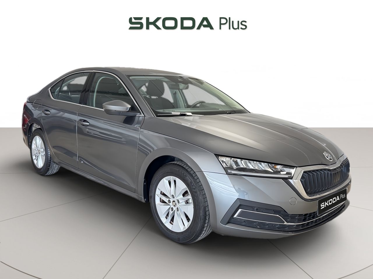 Cinturon tous  de segunda mano - skoda octavia 2024 /