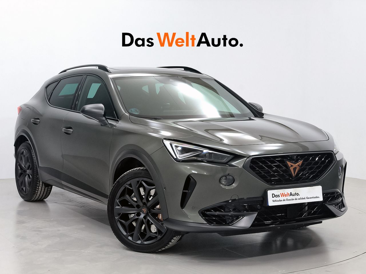 Foto cupra formentor 2024 /