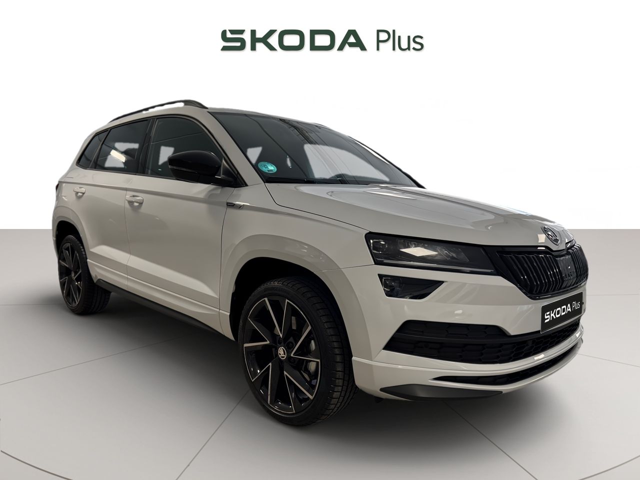 Foto skoda karoq 2021 /
