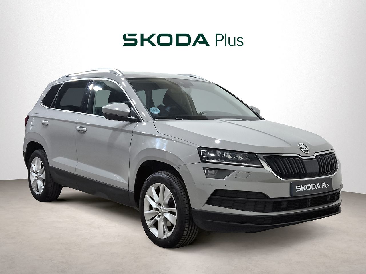 Foto skoda karoq 2021 /