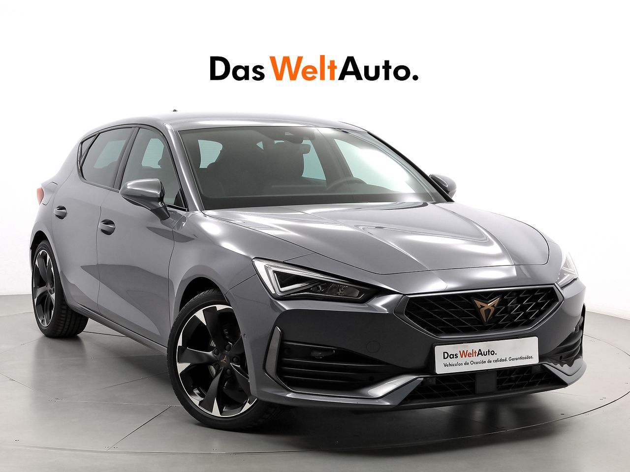 Foto cupra león 2024 /