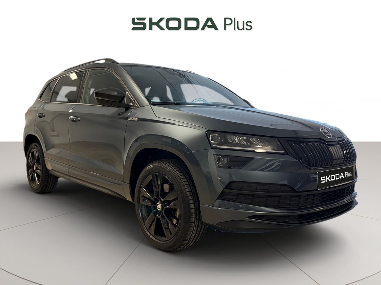 skoda karoq 2021 /