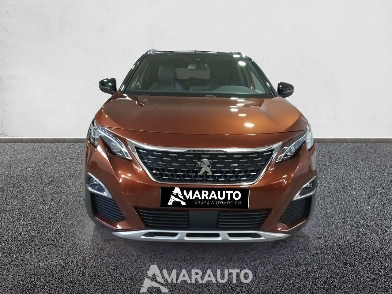 peugeot 3008 2019 / foto grande (2)