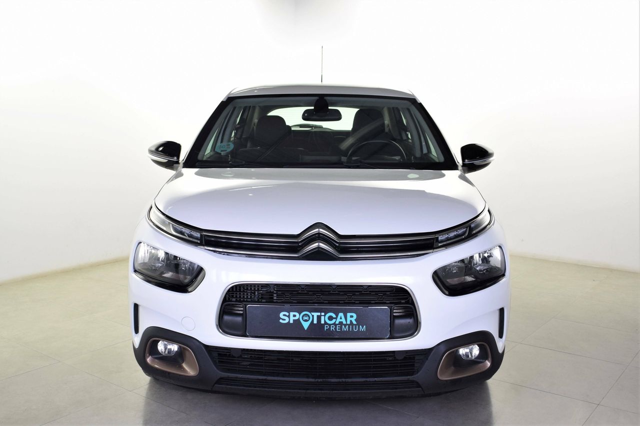 citroën c4 cactus 2020 / foto grande (2)