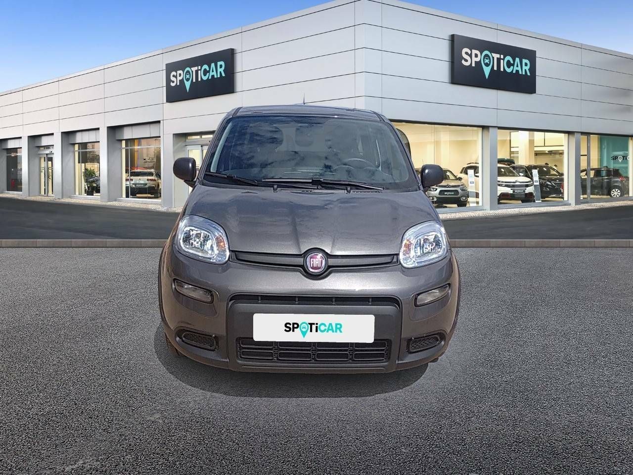fiat panda 2023 / foto grande (2)
