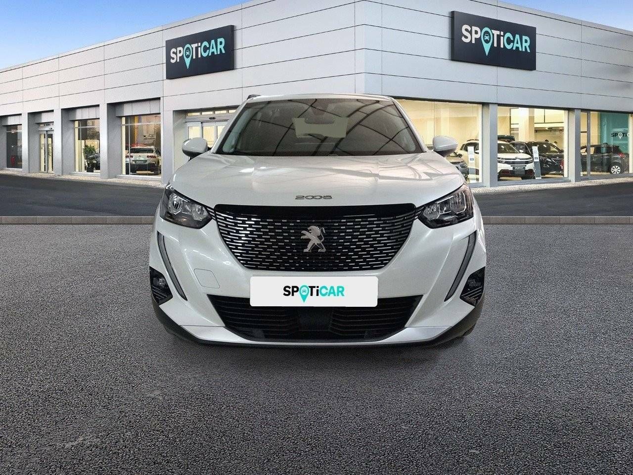 peugeot 2008 2021 / foto grande (2)