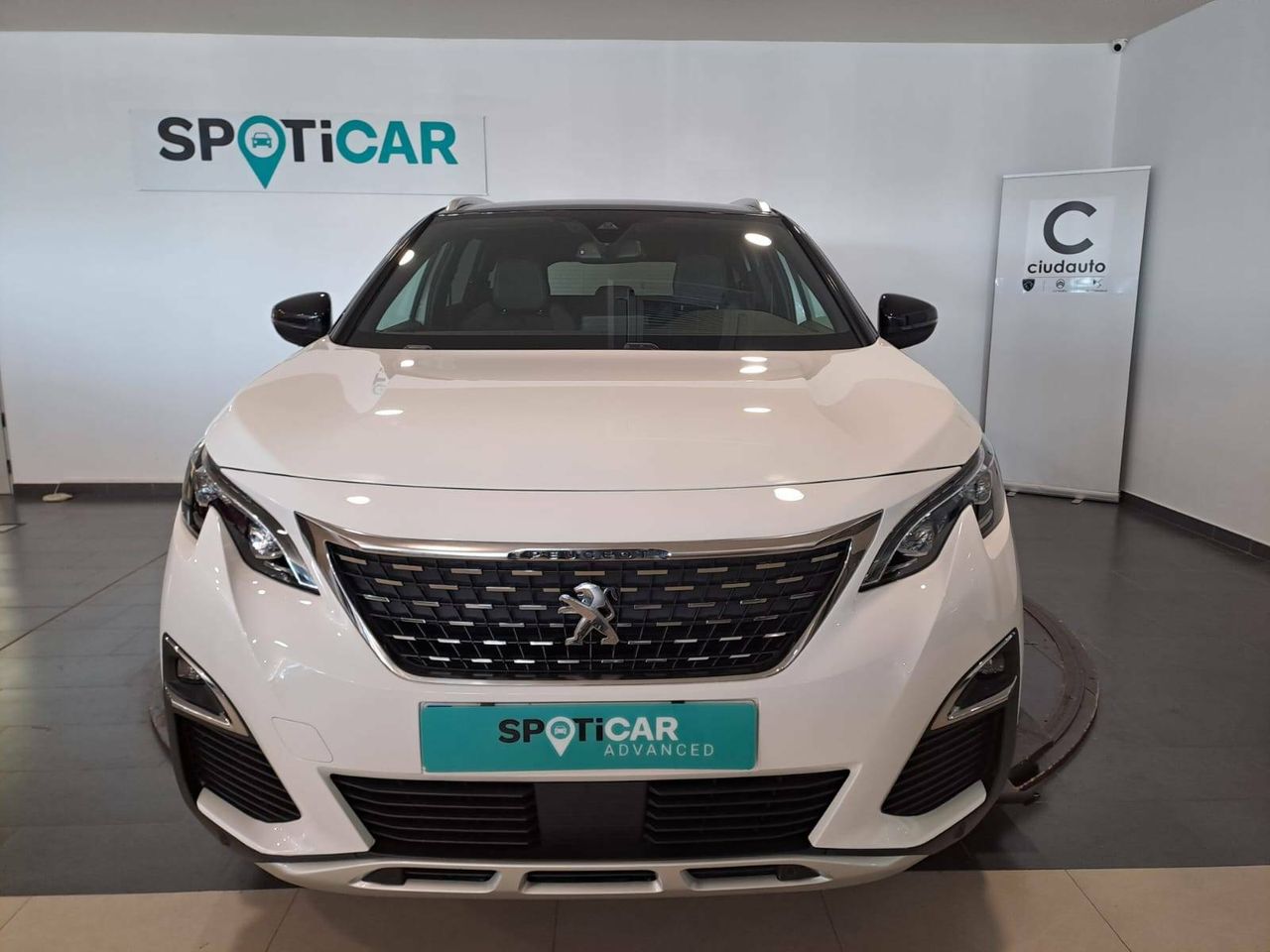 peugeot 5008 2020 / foto grande (2)