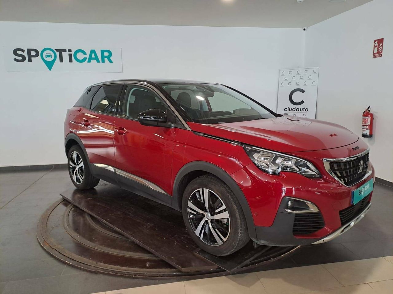 peugeot 3008 2019 / foto grande (3)
