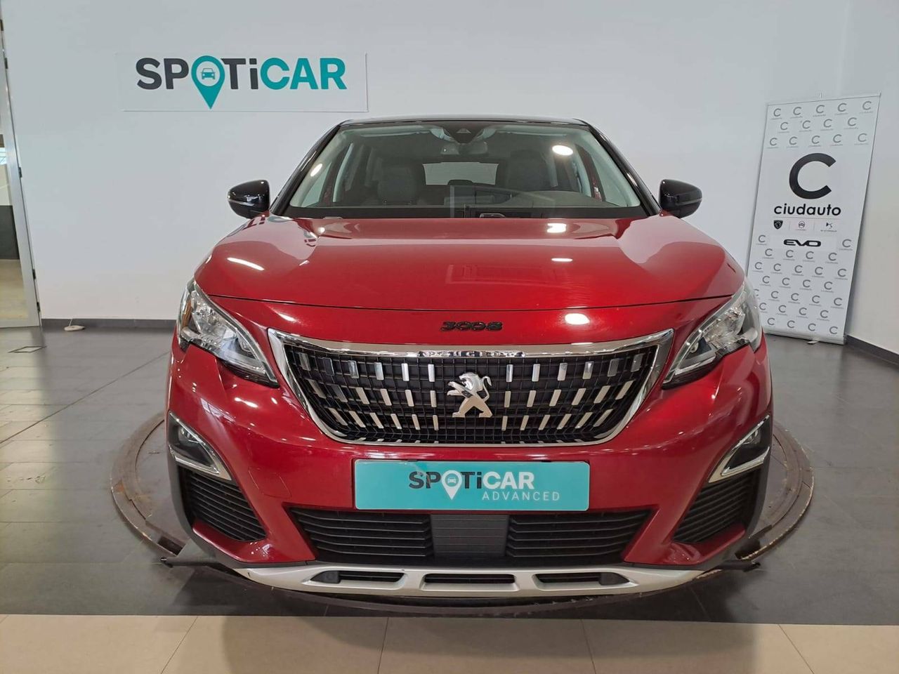 peugeot 3008 2019 / foto grande (2)