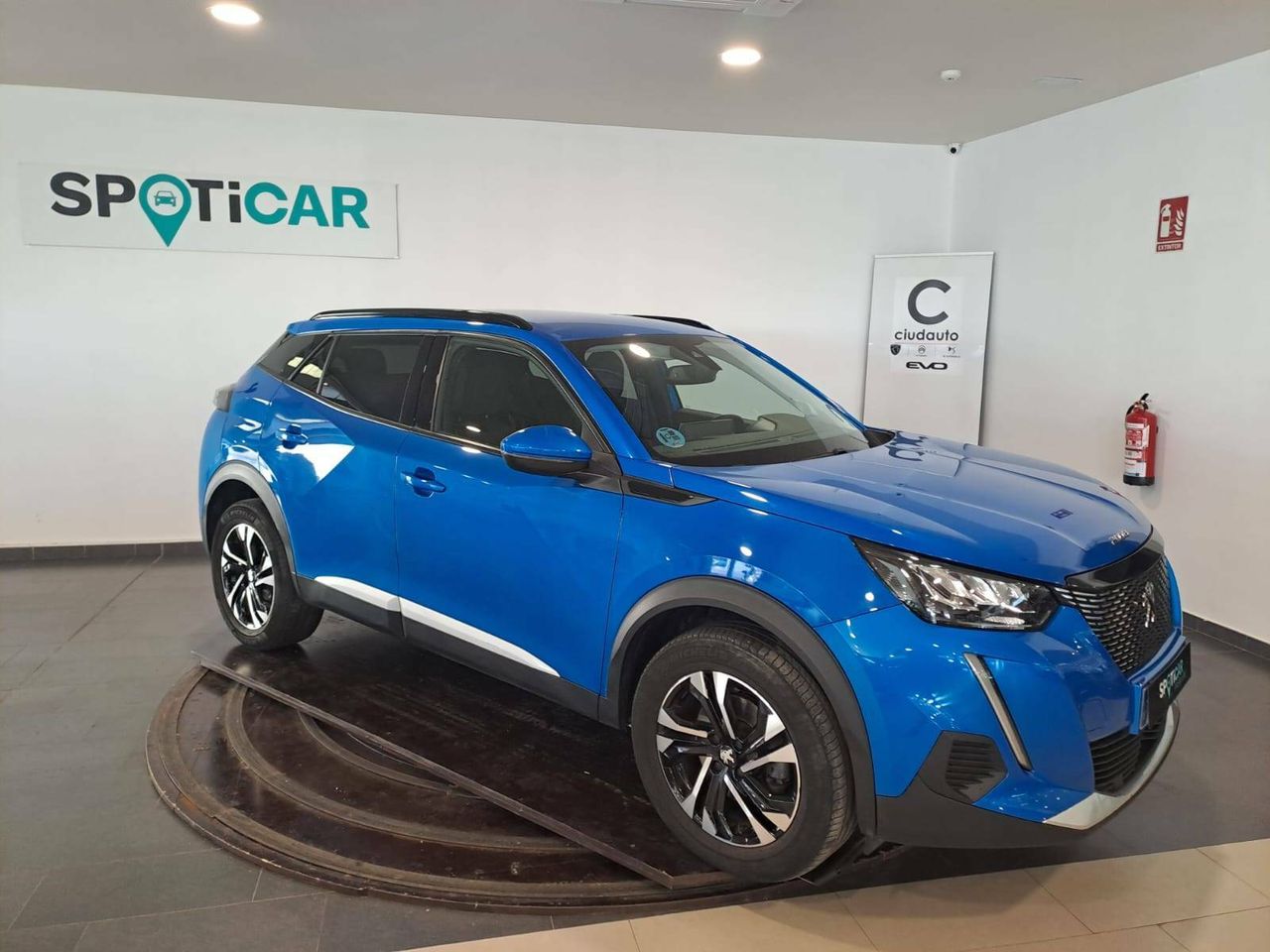 peugeot 2008 2021 / foto grande (3)