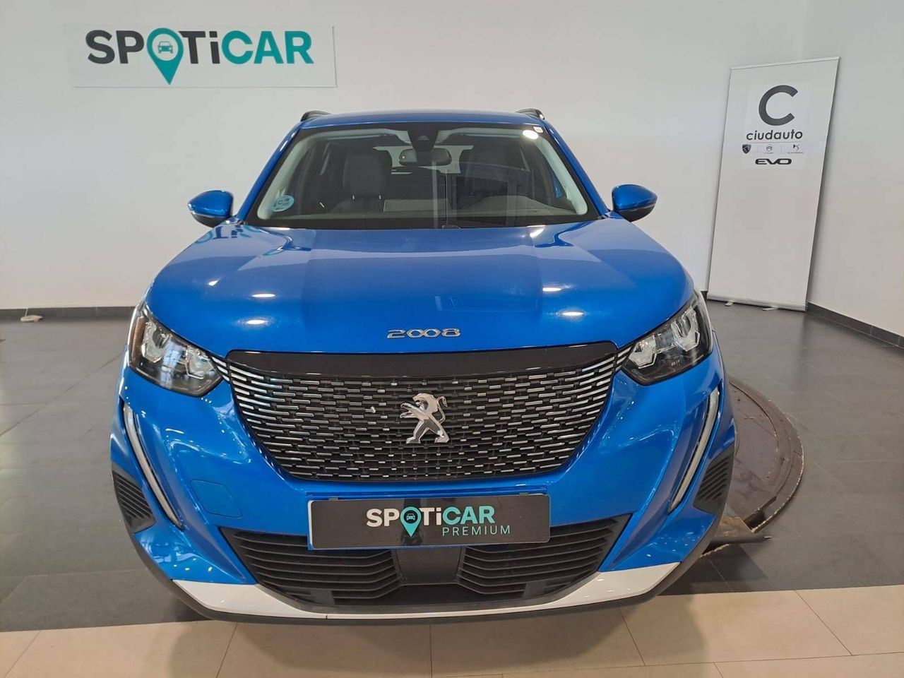 peugeot 2008 2021 / foto grande (2)