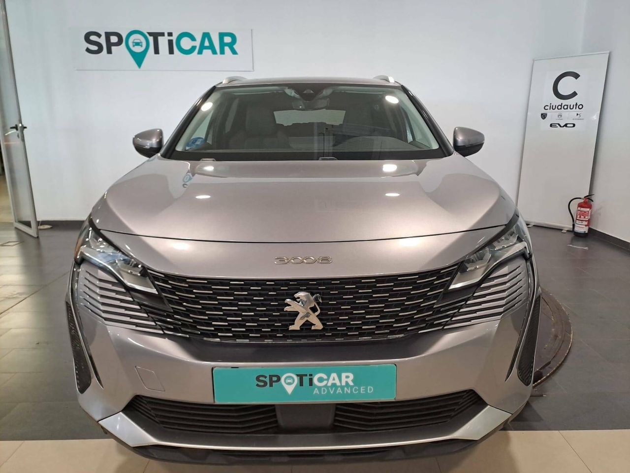 peugeot 3008 2021 / foto grande (2)