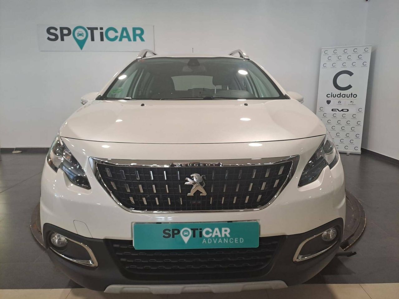peugeot 2008 2019 / foto grande (2)