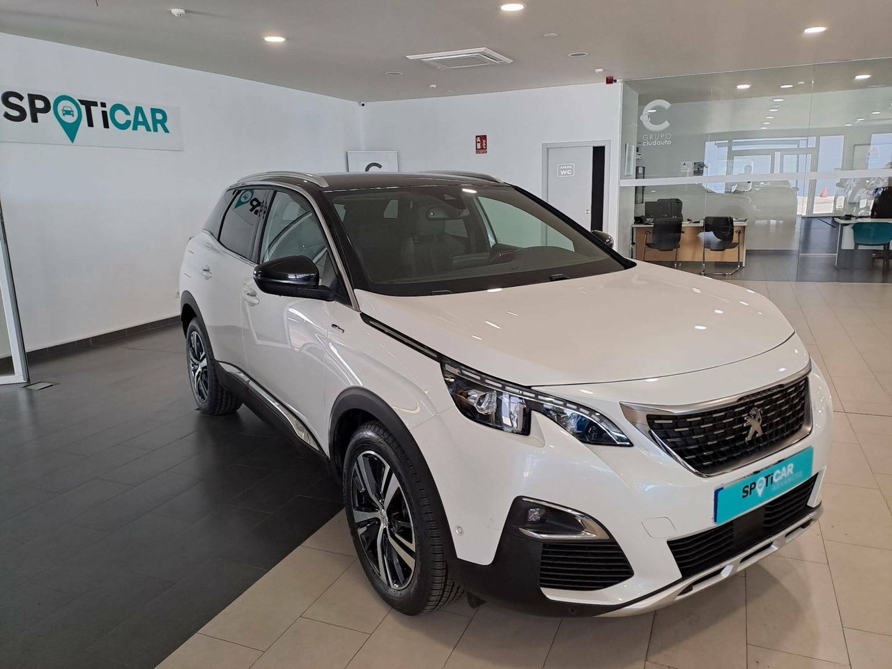 peugeot 3008 2019 / foto grande (3)