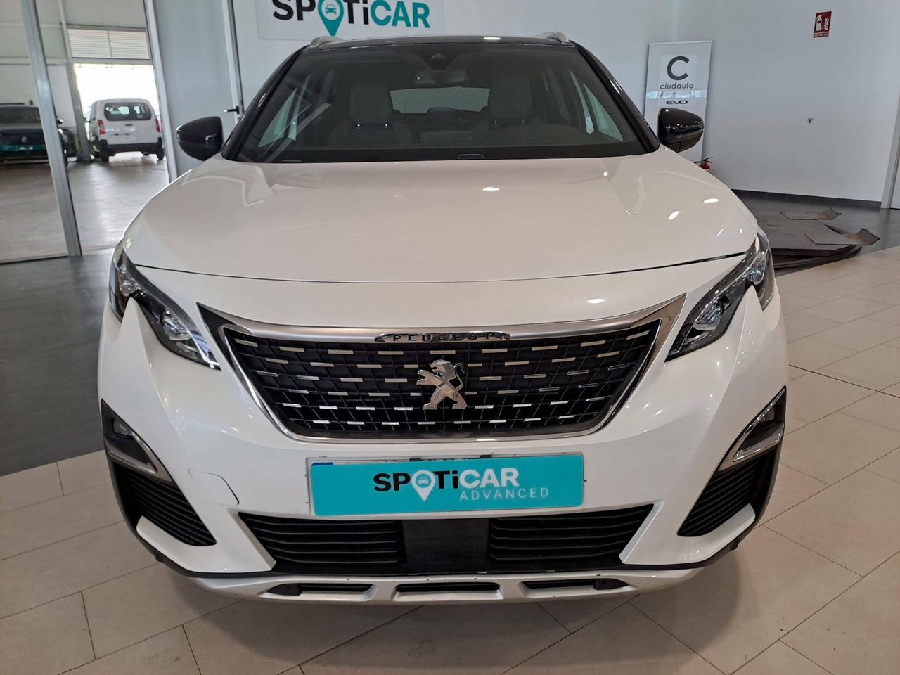 peugeot 3008 2019 / foto grande (2)
