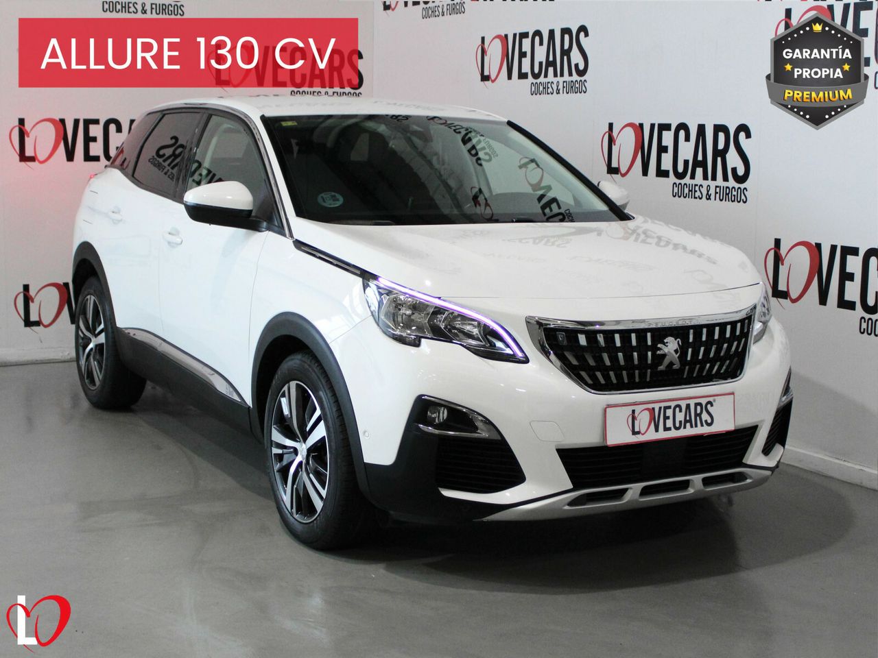peugeot 3008 2019 / foto grande (2)