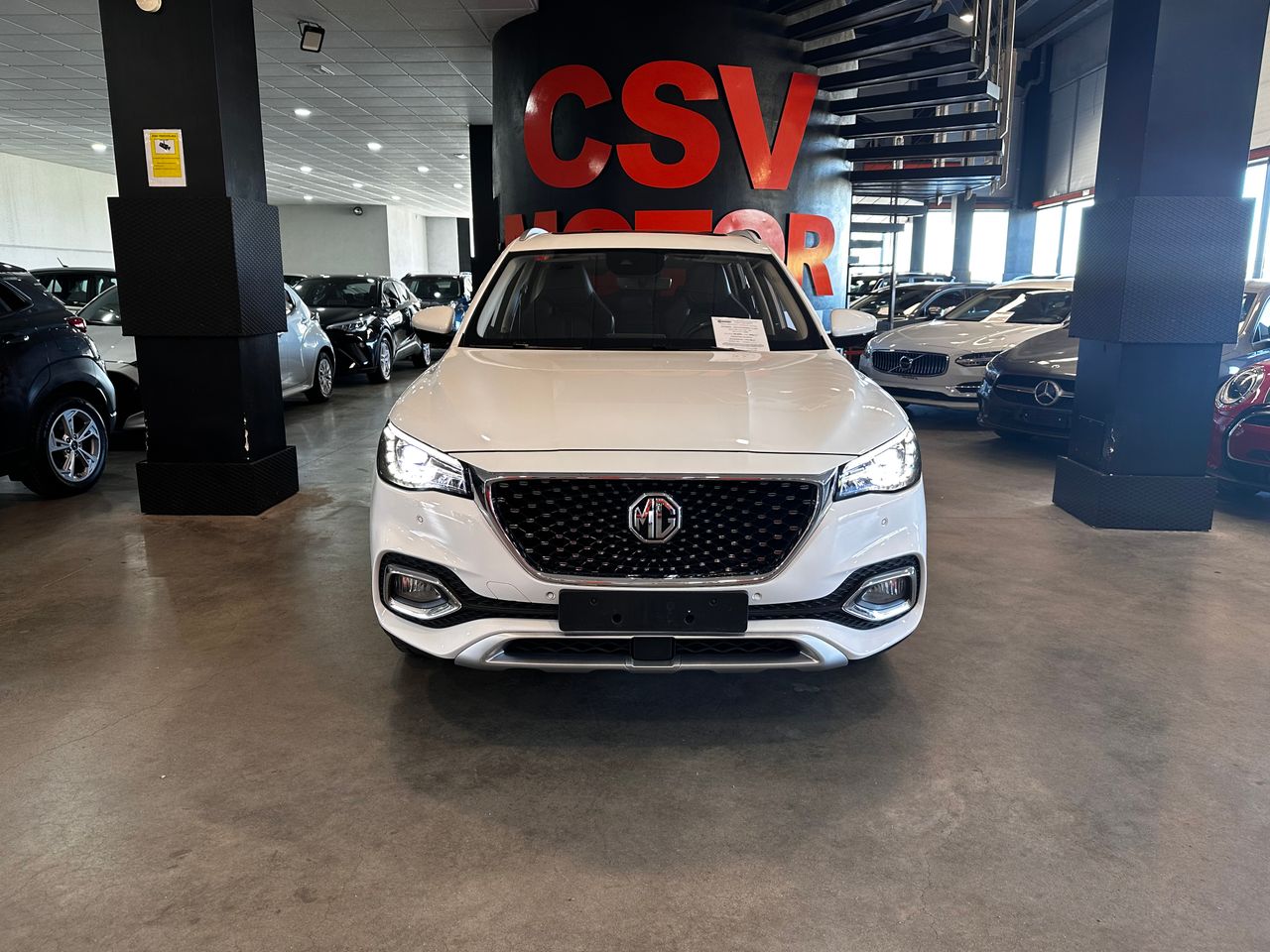 mg ehs 2022 / foto grande (2)