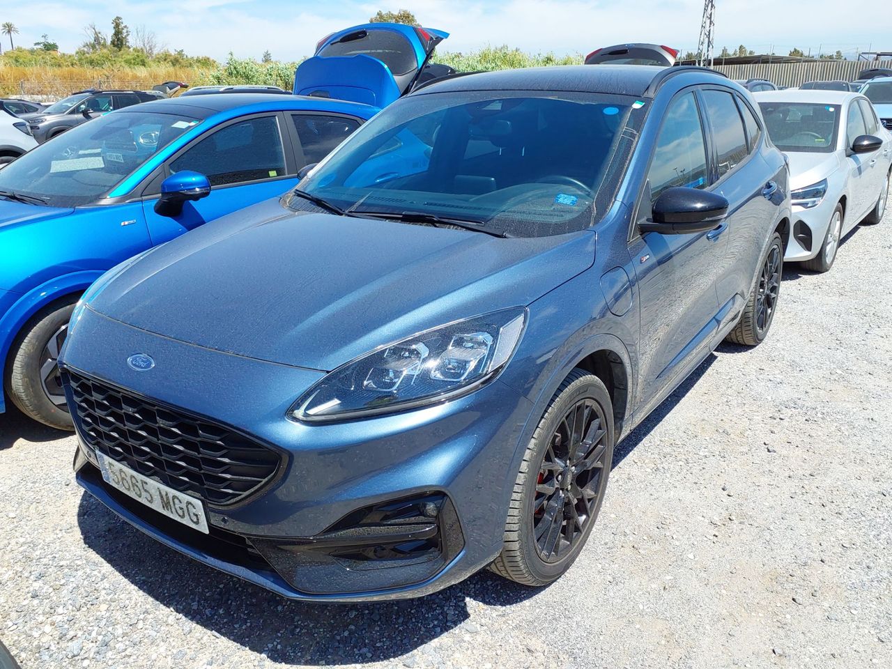 Foto ford kuga 2023 /