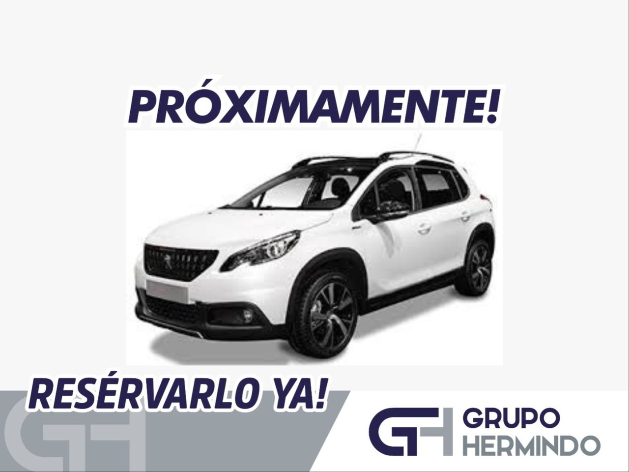 Preciosos cachorros  de segunda mano - peugeot 2008 2020 /