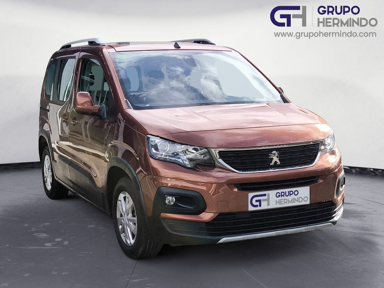 peugeot rifter 2019 / foto grande (2)