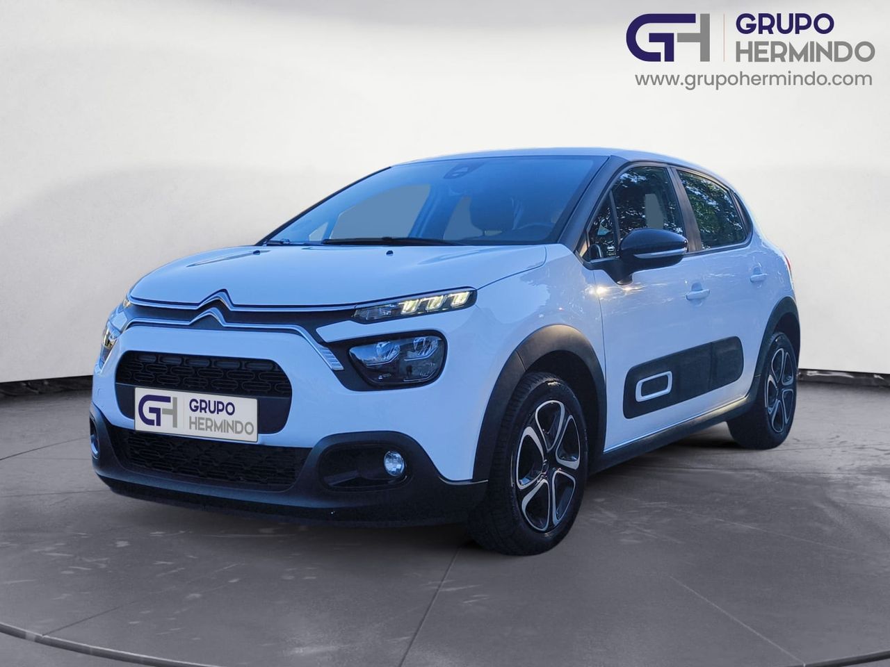 Preciosos cachorros  de segunda mano - citroën c3 2021 /